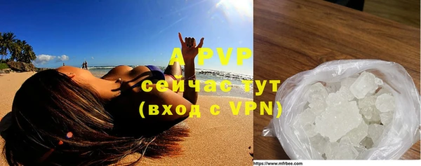 ГАЛЛЮЦИНОГЕННЫЕ ГРИБЫ Абаза