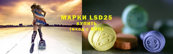 индика Нязепетровск