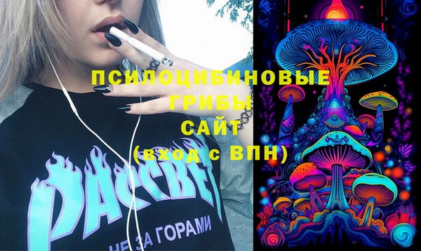 героин Няндома